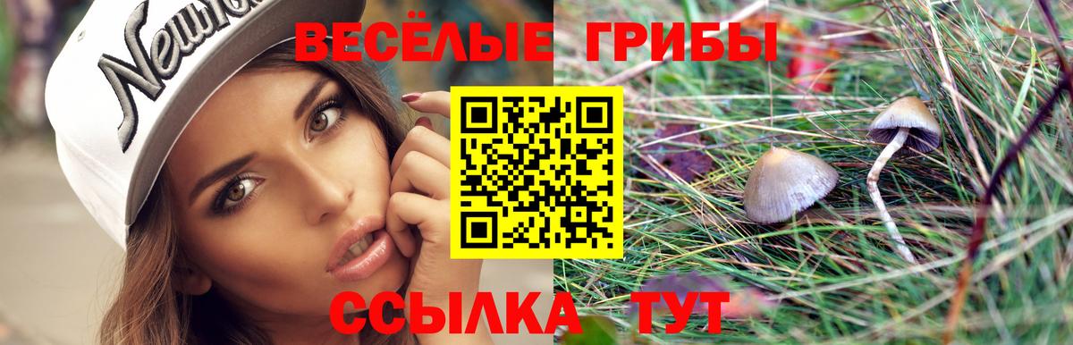 Галлюциногенные грибы мухоморы Петрозаводск