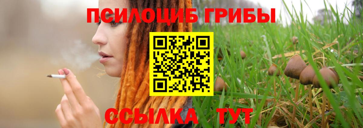 Галлюциногенные грибы Magic Shrooms  Вход с VPN  Петрозаводск  Галлюциногенные грибы мухоморы 